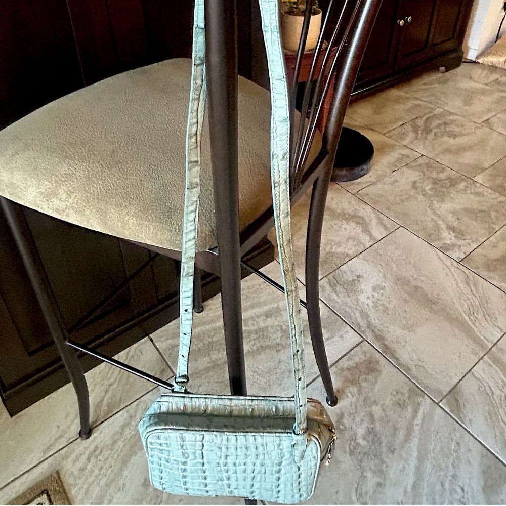Brahmin handbag